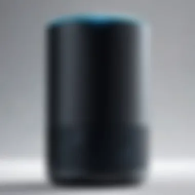 Understanding Voice Recognition in Alexa Visual representation of voice recognition technology