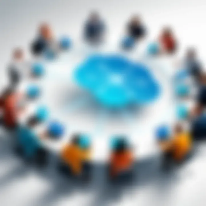 Collaborative Team