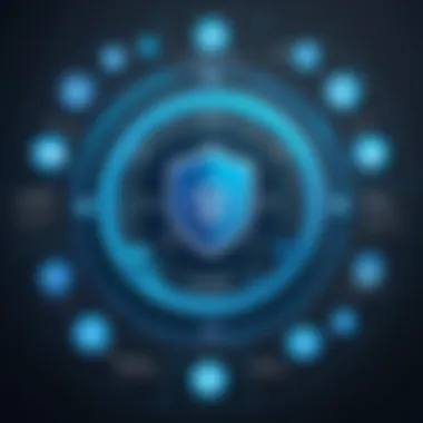 Infographic on the software development lifecycle with a security focus