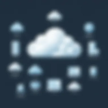 Diverse cloud deployment models