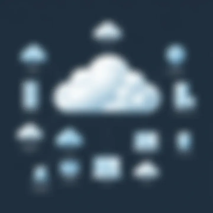 Diverse cloud deployment models