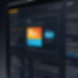 User interface of innovative customer-facing application
