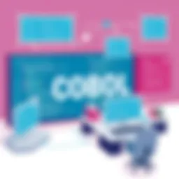 Historical evolution of COBOL programming