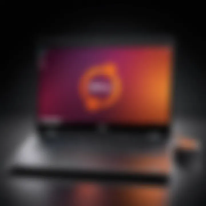 Successful installation of Ubuntu on a Dell laptop