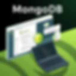 User interface of MongoDB GUI tool showcasing features