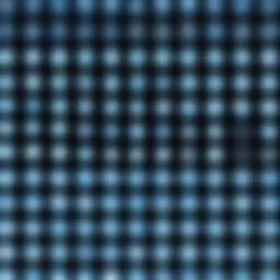 A visual representation of Generative Adversarial Networks (GANs) showcasing their dual components.
