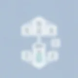 An architectural diagram showcasing jBPM's structure