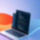 Overview of TeamViewer 5 interface