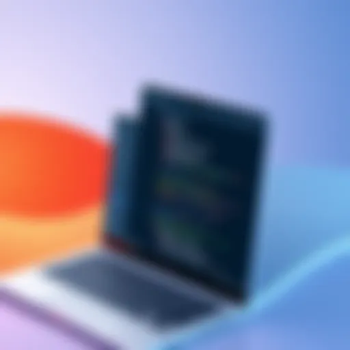 Overview of TeamViewer 5 interface