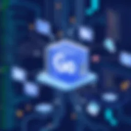 The architecture of the Go programming language