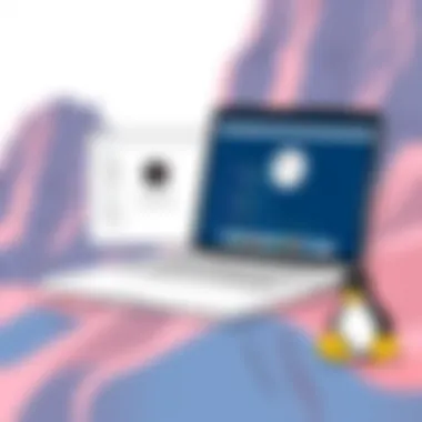 Diverse Linux Distributions for MacBook Pro Linux Distributions Suitable for MacBook Pro