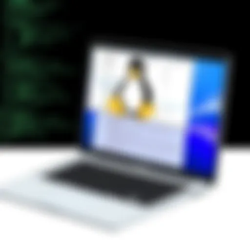 Installation of Linux on a MacBook Pro