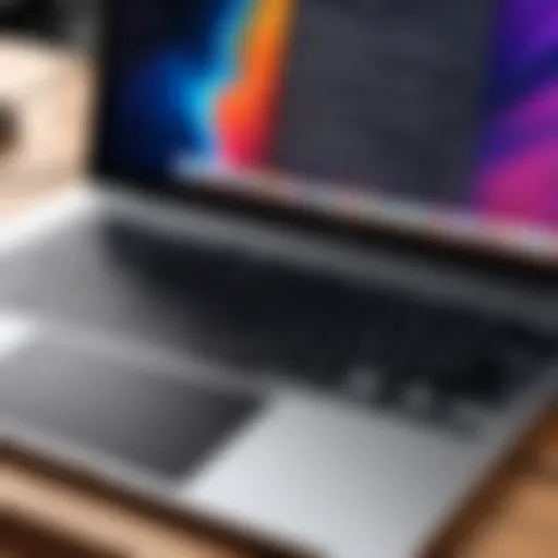 Installation interface of Linux on MacBook Pro