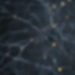 Artificial Neural Network Representation