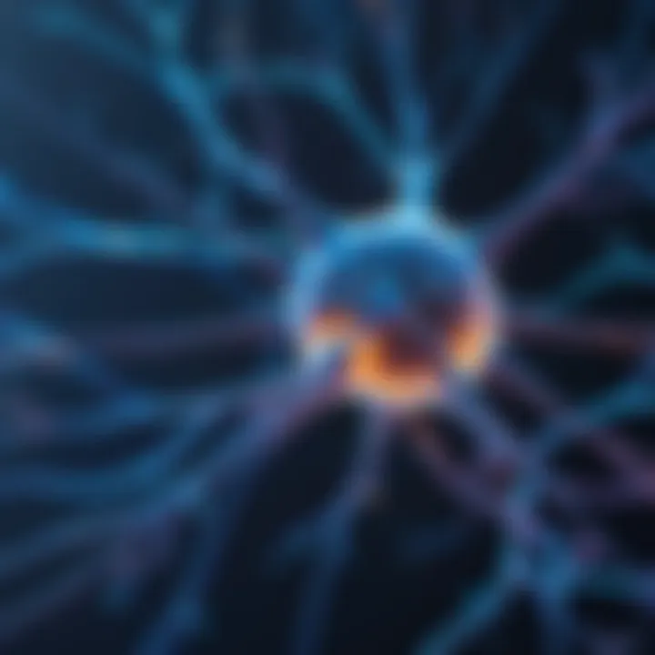 Neuron's Role in Deep Learning