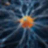 Neuron's Intricate Connections