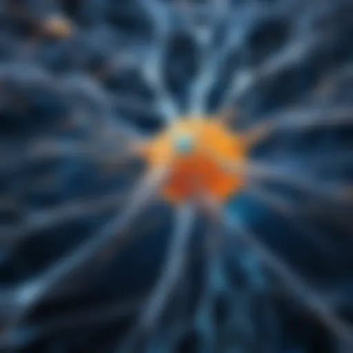 Neuron's Intricate Connections