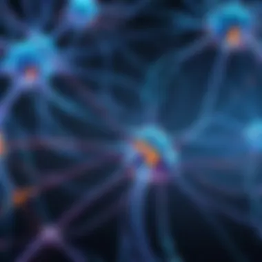 Visualizing Synaptic Transmission in a Neural Network Neuron Neuron's Synaptic Transmission Visualization