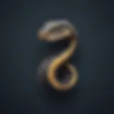 Python logo on elegant background