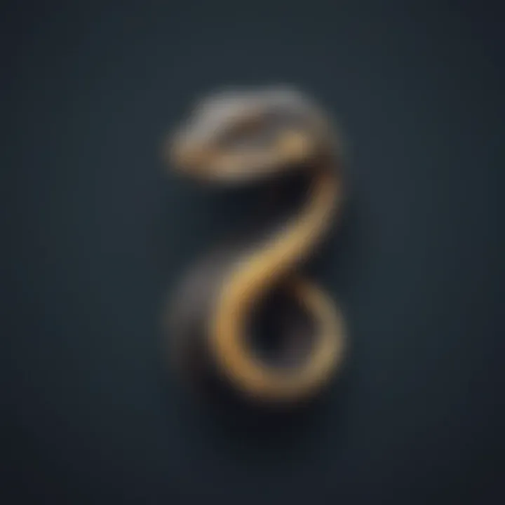 Python logo on elegant background