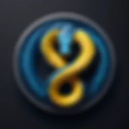 Python logo representation