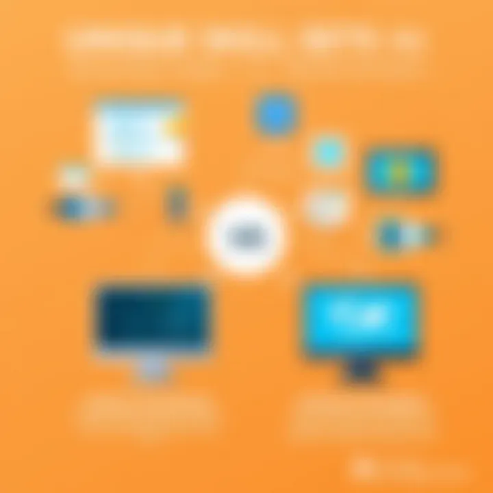 Unique Skill Sets of Developers Infographic on skill sets unique to systems developers and software developers