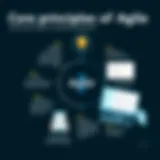 Visual representation of Agile principles