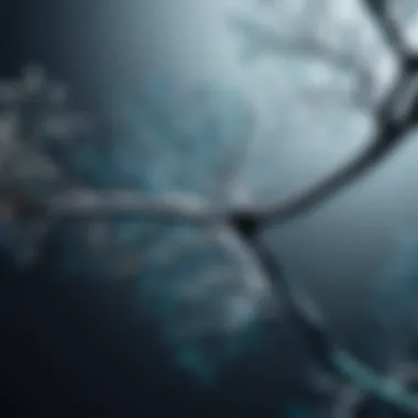 Branches of Artificial Intelligence Illustration depicting the various branches of artificial intelligence