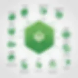 Visual representation of MongoDB database architecture