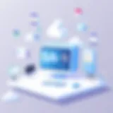 Conceptual representation of SaaS architecture