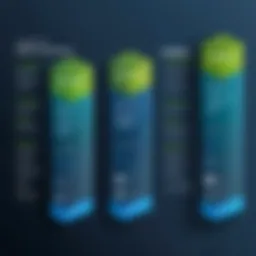 Analysis of VMware pricing models