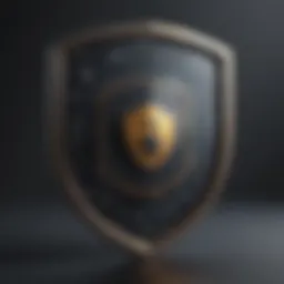 Data Encryption Shield