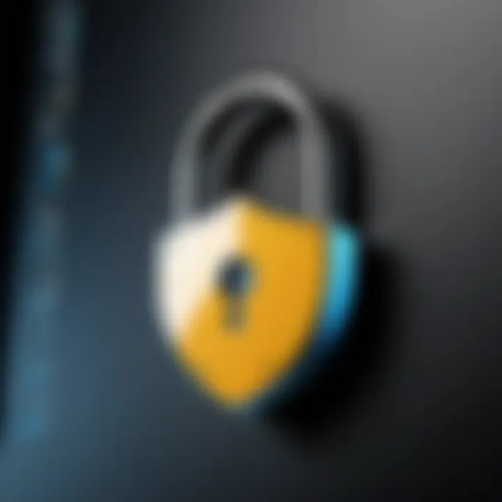 A secure lock symbol representing website security features